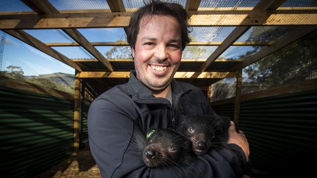 Bonorong Wildlife Sanctuary's Greg Irons with junior Tasmanian devils Phoenix and Mali is excited to be opening up tomorrow. Picture: LUKE BOWDEN