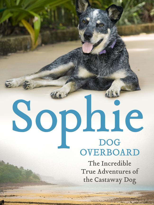 Sophie, Dog Overboard, by Emma Pearse. Picture: Hodder