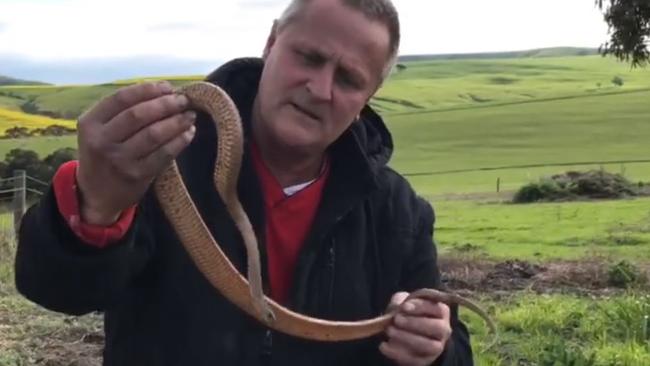 Snake Catchers Adelaide’s Rolly Burrell with a brown snake at a Normanville property. Picture: Facebook / Snake Catchers Adelaide