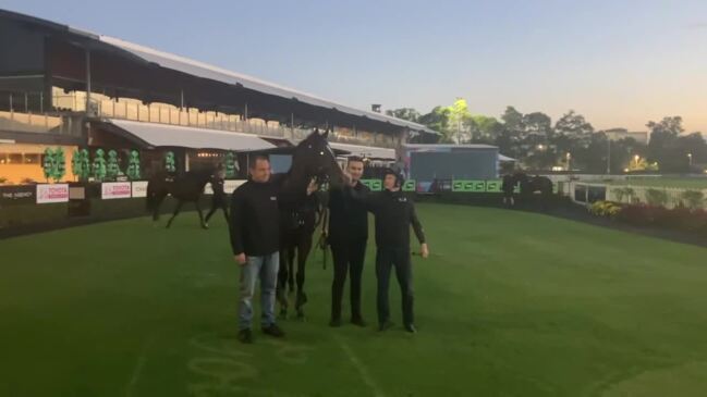 Chris Waller and James McDonald with Golden Slipper hope Switzerland