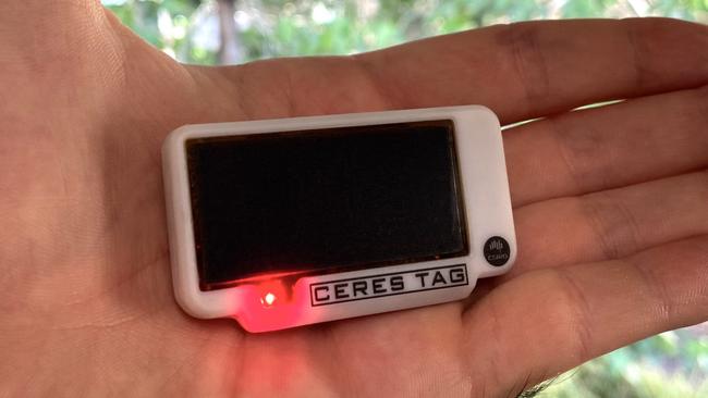 The Ceres Tag, which is the world’s only direct-to-satellite smart geo-location eartag, will be released in Queensland next May.