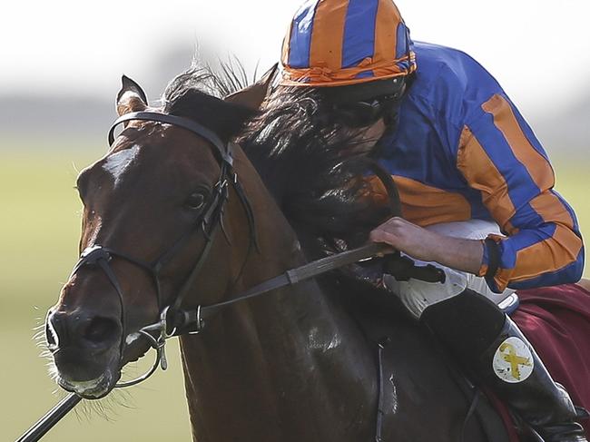 KILDARE, IRELAND - SEPTEMBER 10:  Ryan Moore riding Order Of St George easily win The Comer Group International Irish St Leger at Curragh Racecourse on September 10, 2017 in Kildare, Ireland. (Photo by Alan Crowhurst/Getty Images)