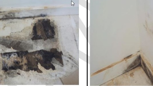 Water damage inside the home. Picture: Expert building report