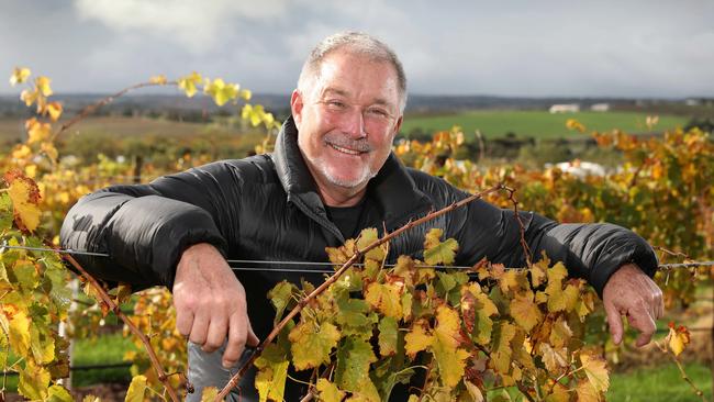 Seppeltsfield Wines and Randall Wine Group owner Warren Randall. Picture: Dean Martin