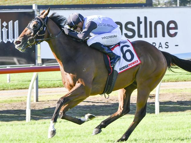 Edge Of Reward can continue his good form with another win at Gosford on Thursday. Picture: Bradley Photos