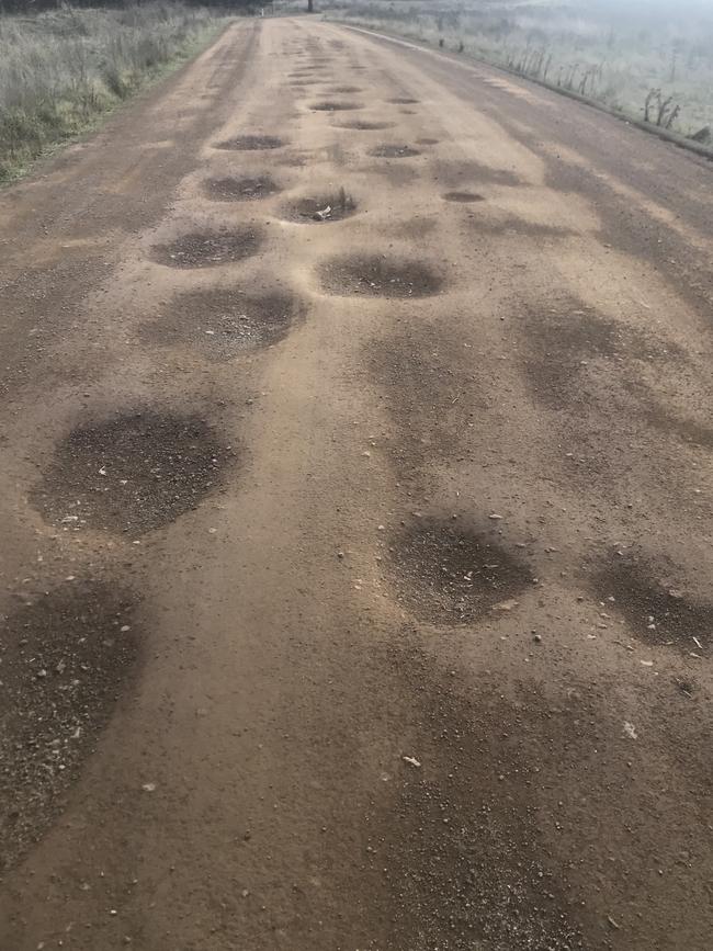 Potholes along Nugent road near Buckland.