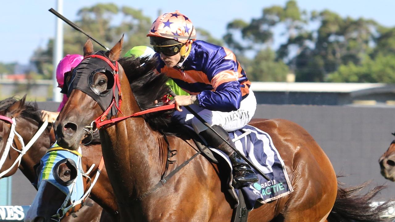 Brutality is backing up from his fourth on last week's Festival Stakes. Picture: Grant Guy