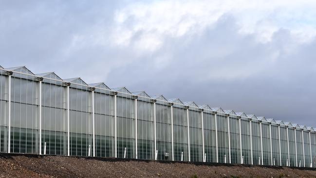 Family Fresh Farms greenhouses at Peats Ridge. Pic: AAP Image/Troy Snook