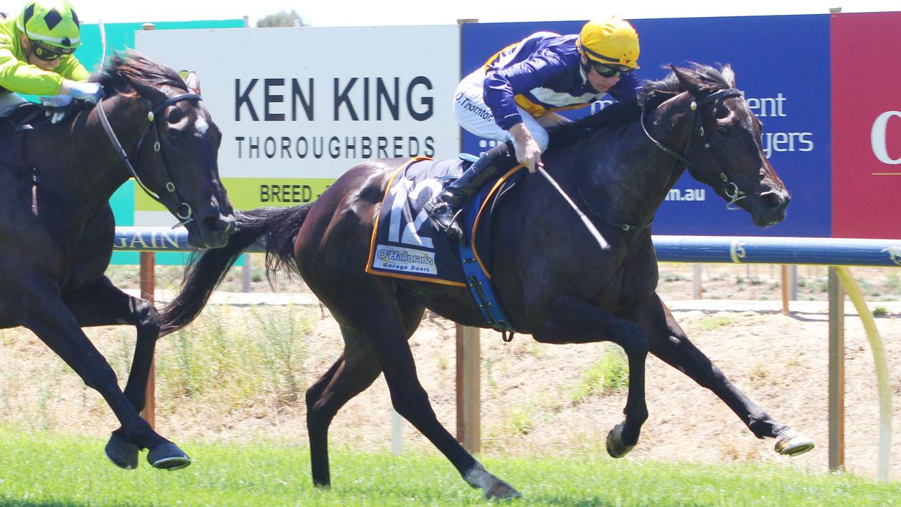 Royal Hotel Benalla Maiden Plate