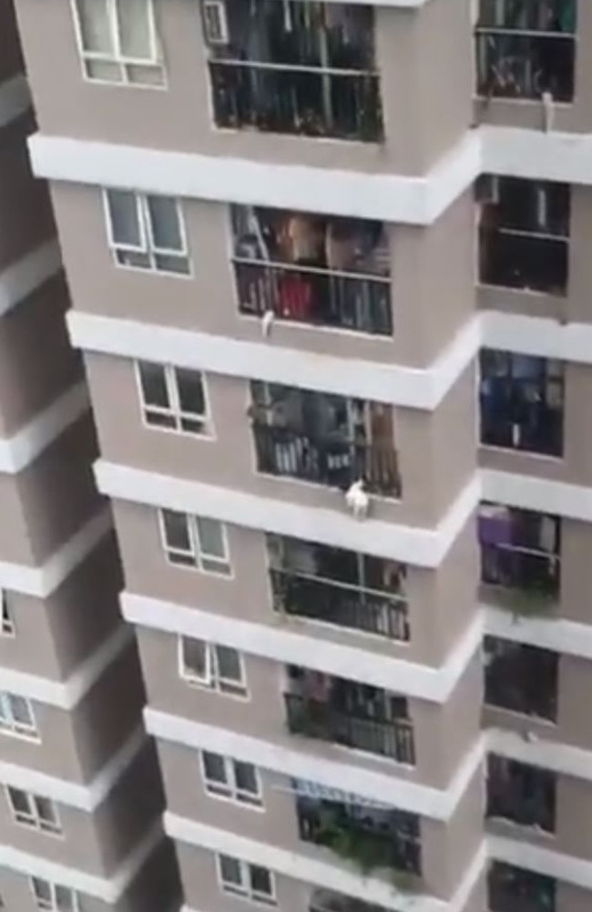 The little girl, 3, clambered over the balcony railing before dangling from the edge.