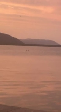 Swimmers near Cairns Esplanade