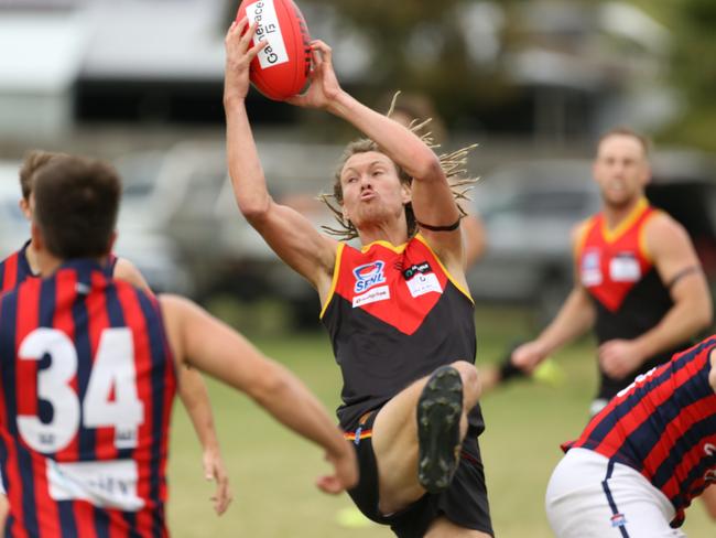 Dingley champion Lucas Walmsley takes a strong mark. Picture: Stuart Milligan