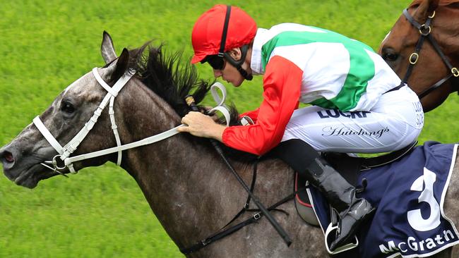 Sir Bacchus (red cap) ridden by Rory Hutchings wins race 2 during Randwick Races. pic Jenny Evans