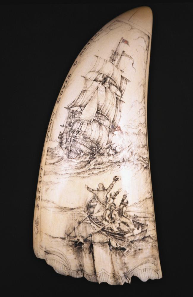 A hand engraved scrimshaw on a sperm whale tooth depicting the escape of the John Boyle O'Reilly by Gary Tonkin. Picture: Courtesy of Australian National Maritime Museum