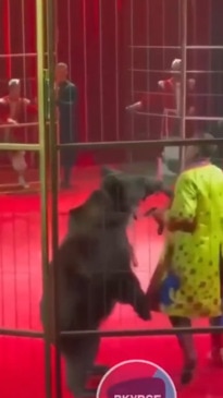 ‘Snapped’: Horror moment bear mauls trainer