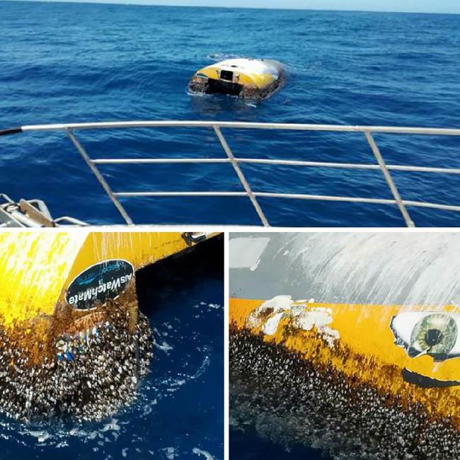 Wild Eyes, spotted off the coast of Kangaroo Island covered in barnacles on New Year’s Eve. Picture: AAP / SA Police