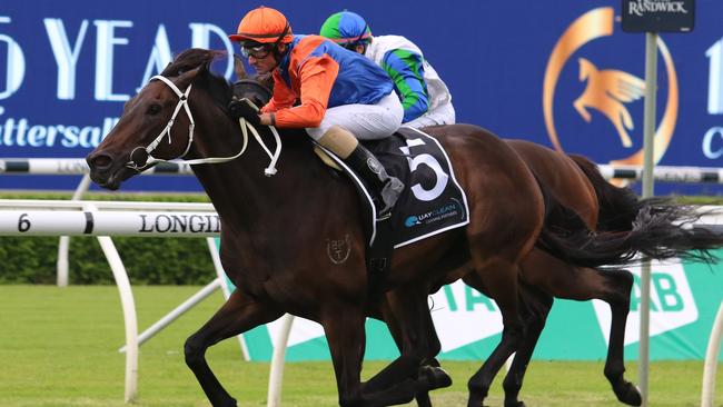 Think It Over looks hard to beat in the Hill Stakes. Picture: Grant Guy