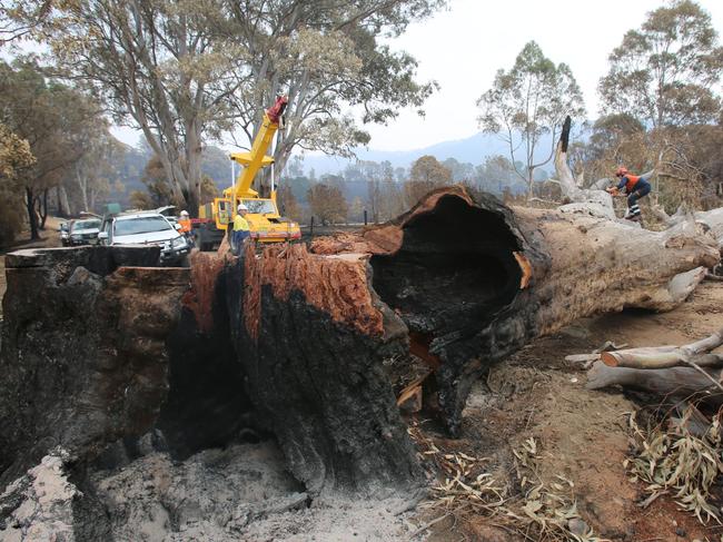 Investigators are looking to zero in on serial arsonists. Picture: NSW Police