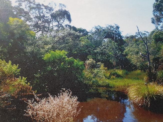 Chris Judd Arthurs Seat property in 2019 before his company illegally cleared 3000sq m.