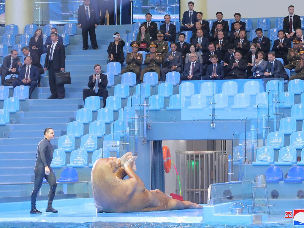 Earlier Sunday, Kim watched a performing walrus at the Primorsky Aquarium.