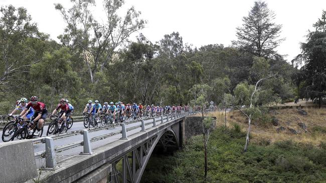 The peloton makes its way over a bridge in and around Cudlee Creek. Picture Sarah Reed