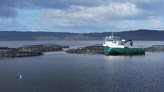 Tassal salmon pens in Macquarie Harbour, Strahan. Picture: MATHEW FARRELL