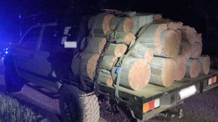 The Conservation Regulator provided stills of the illegal firewood. Picture: Supplied