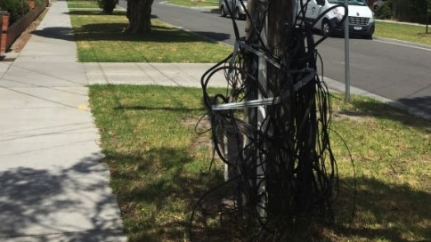 An electricity pole loaded with dozens of tangled cables in Kingston. Picture: Snap Send Solve