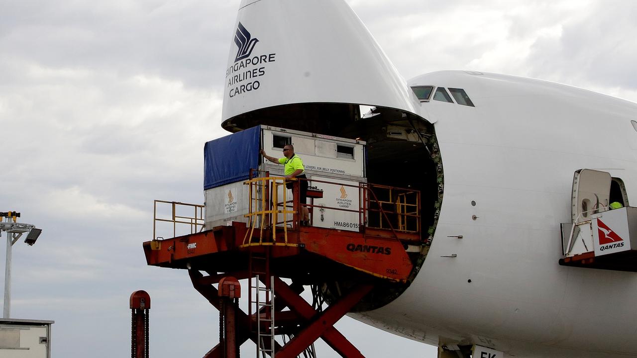 Horses are flown in huge shipping containers like these. Picture: Hamish Blair