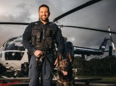 Police dog Ajax has died after serving his community. Picture: Queensland Police Service.