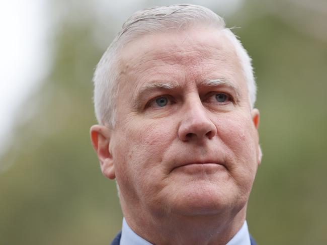 Deputy Prime Minister Michael McCormack says it’s been a ‘challenging position’ for the family and the government. Picture: NCA NewsWire / David Mariuz