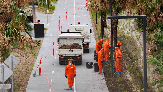 Workers rake up asbestos contaminated mulch in garden beds around Rozelle Interchange earlier this month. Picture: Max Mason-Hubers