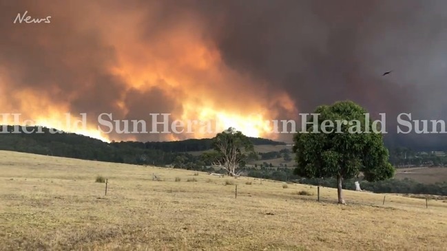 Firefighters battle blaze at Bunyip State Park