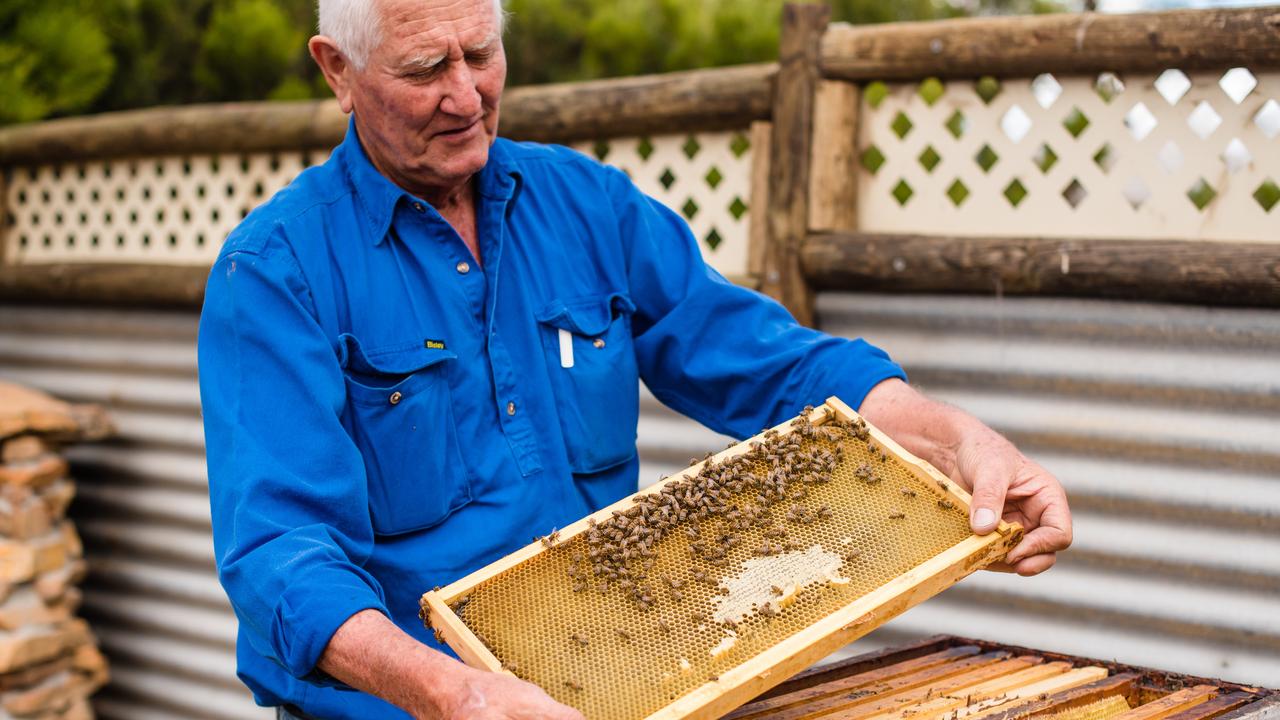 Island Beehive on Kangaroo Island. Picture: Meaghan Coles