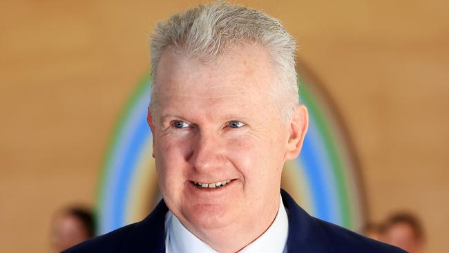 Federal Employment Minister Tony Burke. Picture: Jenny Evans.