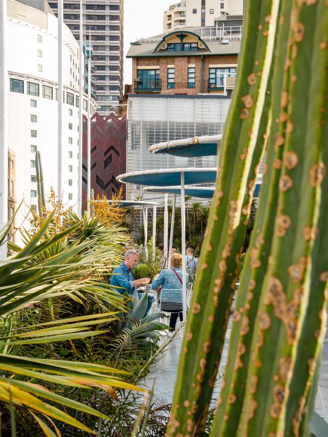 AP Bakery is located on the rooftop of Paramount House Hotel.