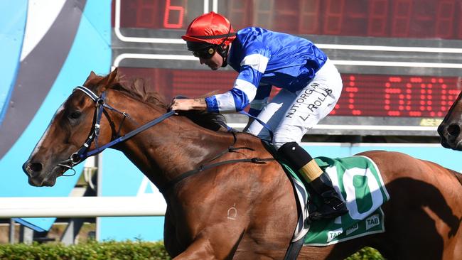 Winner of Race 6 Grandioso riden by Luke Rolls at the Gold Coast Turf Club. (Photo/Steve Holland)