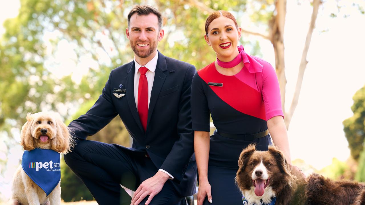 Qantas’s behemoth frequent flyer program is tapping into the $3.2bn pet industry with a new partnership with retailer PETstock. Picture: Eugene Hyland