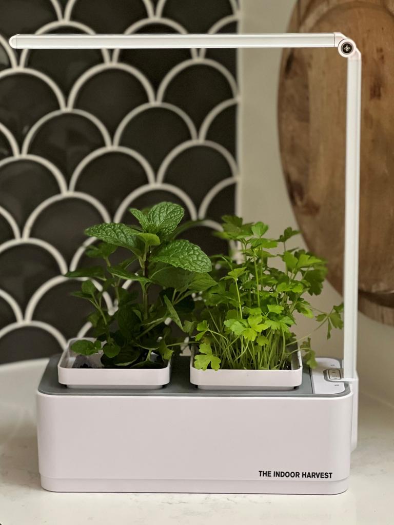 An indoor smart garden. Picture: Supplied