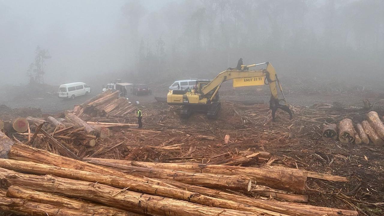 Bob Brown Foundation protesters attached to logging equipment at Wentworth Hills on Tasmania's Central Plateau.