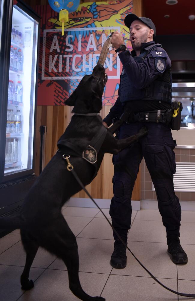 Australian Federal Police canine team will increase patrols at Australian airports this summer. Picture: (A)manda Parkinson