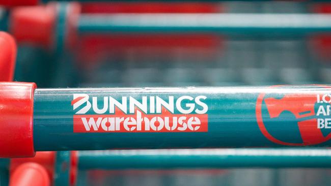 Bunnings remains hopeful of opening a big new store at Panaroma.