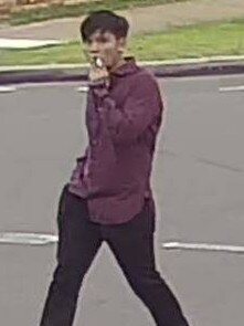 Police have released CCTV images after several break, enter, and steal offences occurred on residential properties in Sydney’s Inner West and South West.