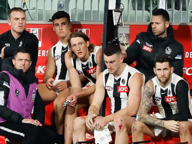 MELBOURNE, AUSTRALIA - AUGUST 5: Tom Mitchell, Nick Daicos and Nathan Murphy of the Magpies are seen in the back row of the bench during the 2023 AFL Round 21 match between the Hawthorn Hawks and the Collingwood Magpies at Melbourne Cricket Ground on August 5, 2023 in Melbourne, Australia. (Photo by Dylan Burns/AFL Photos via Getty Images)