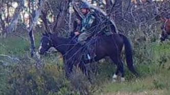 A motion sensor camera picks up a shooter scouting the Bogong High Plains