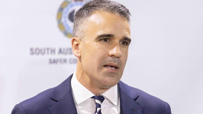 Premier Peter Malinauskas says the government will host an expert roundtable in the coming weeks to tackle domestic violence, Picture: NCA NewsWire / Kelly Barnes