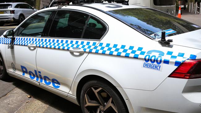 Parramatta Local Court was told the entire incident, from when Golsby was allegedly spotted to when police arrived, took about 30 minutes.
