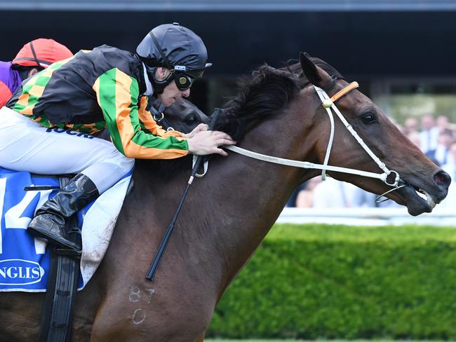 Broadmeadow trackwork: times, results, video | Daily Telegraph