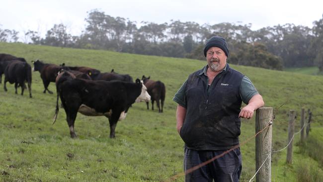 Doug Hanks on his Stony Creek property. Picture: Yuri Kouzmin