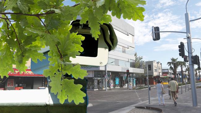 Fourteen security cameras in Frankston’s city centre have been blocked by trees, raising concerns. Digitally altered image